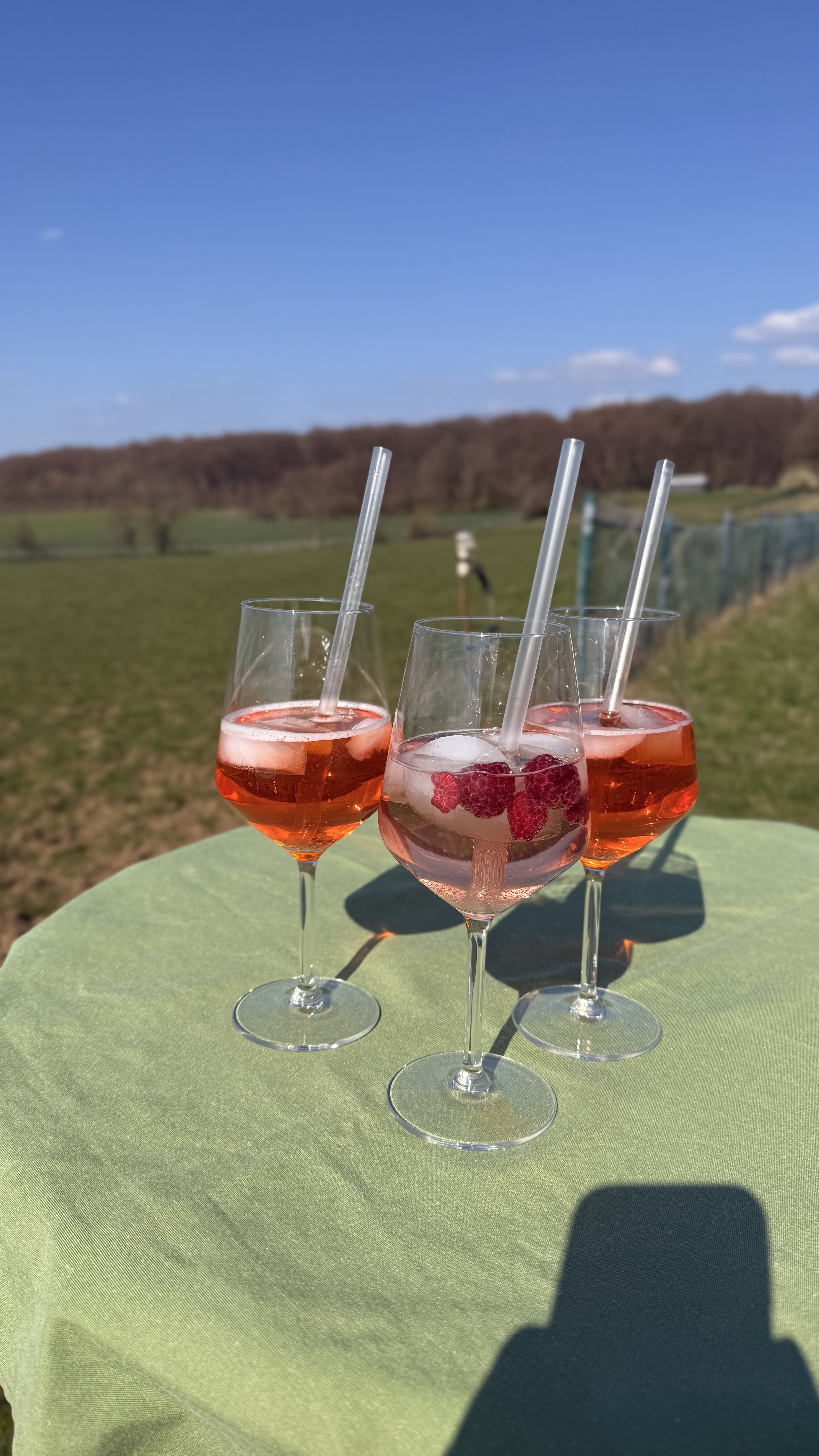 Aperol im Glas auf dem Tisch im Wiesencafé des Hofgut Schanze