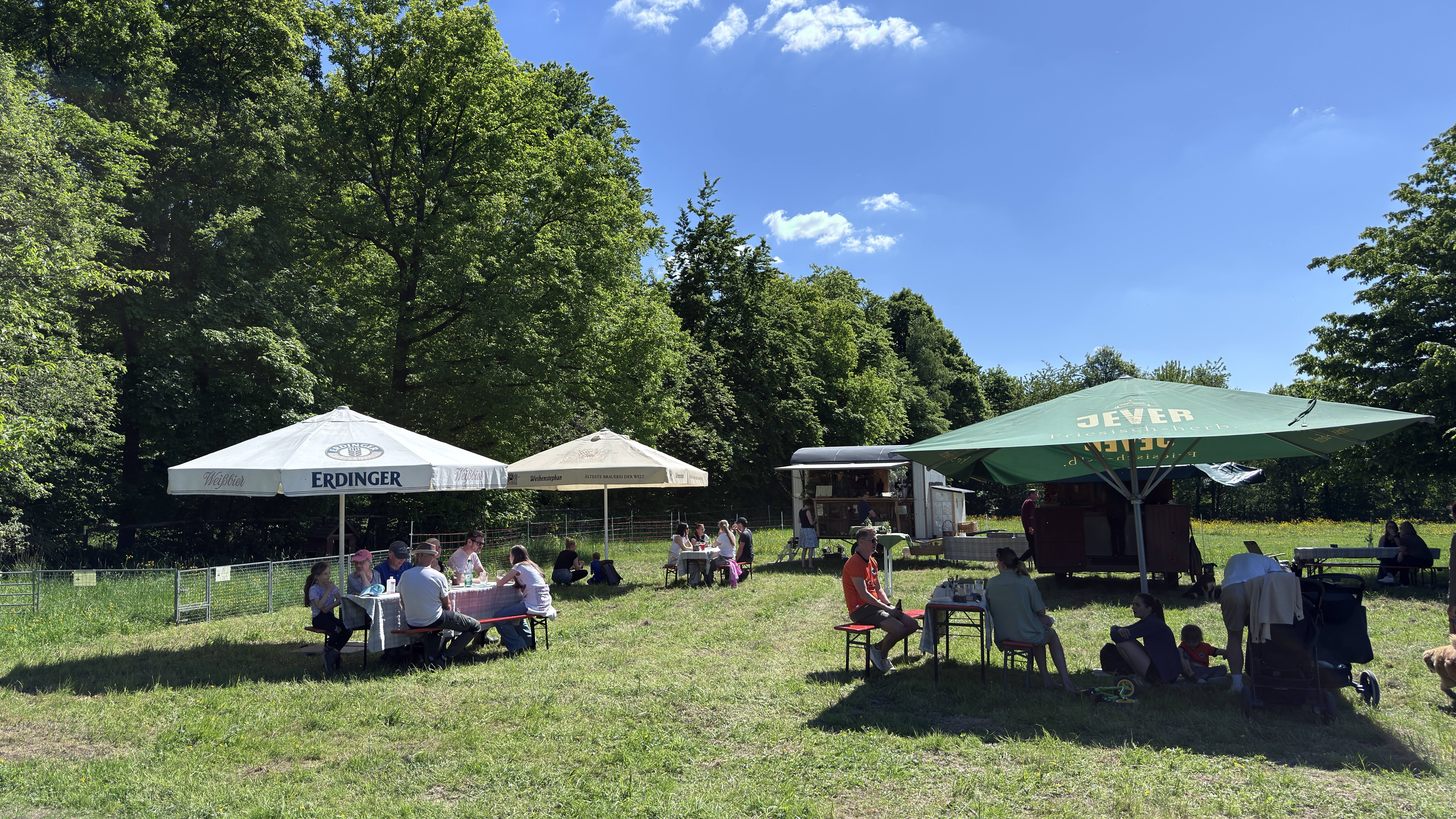 Gemütliche Atmosphäre im Wiesencafé mit Gästen und Getränken