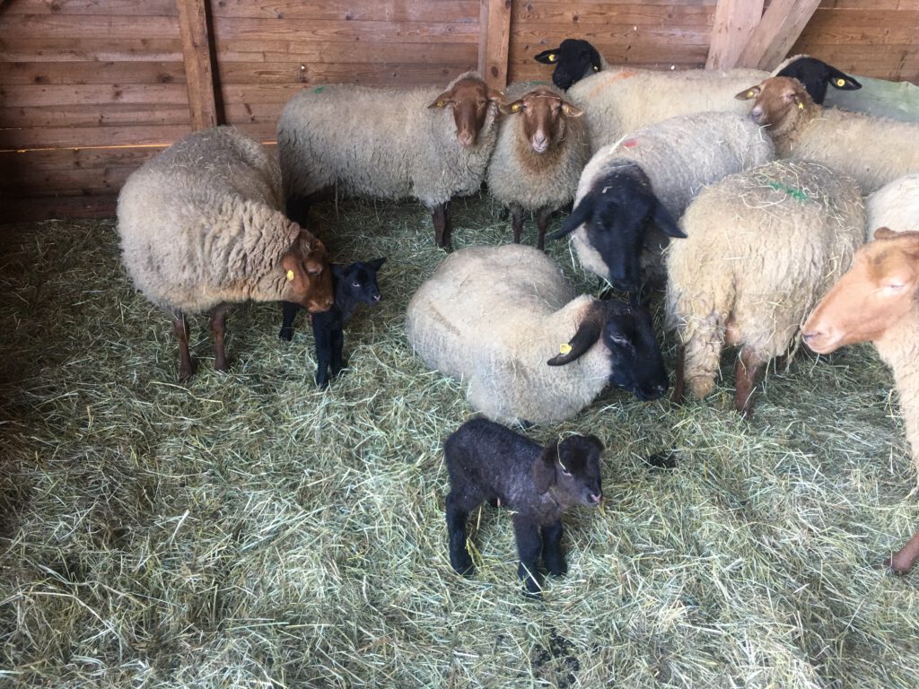 Moms and kids
